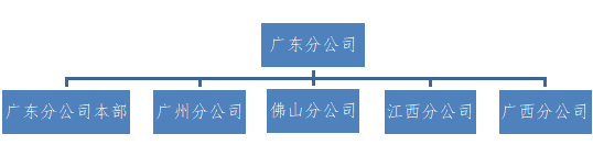 分公司架构.png